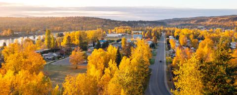 arial view of quesnel in the fall with trees with yellow leaves